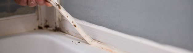Vem ansvarar för mögelskador i hus och bostadsrätt